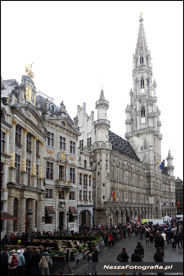 Fotografia Belgia Bruksela