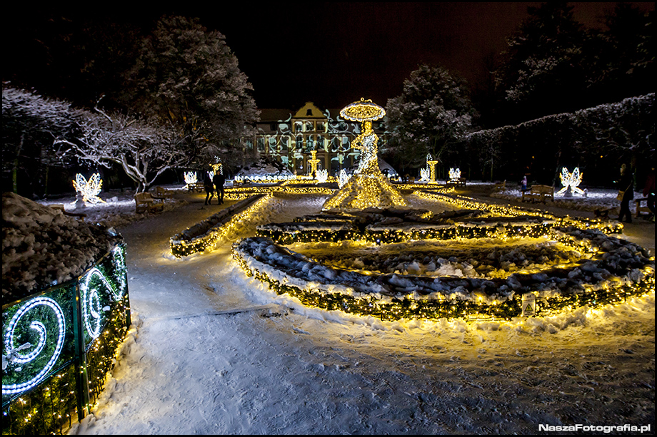 Świąteczne iluminacje w Parku Oliwskim